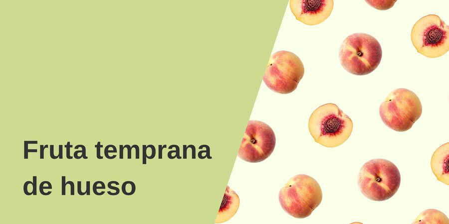 Fruta temprana de Hueso